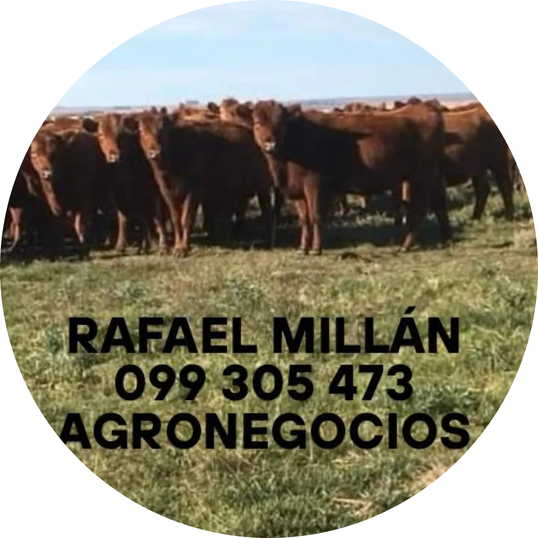 Logo Agromillan